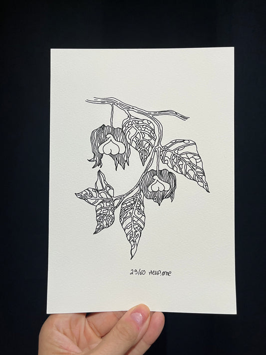 Print en édition limitée "Les Fruits du plaisir"